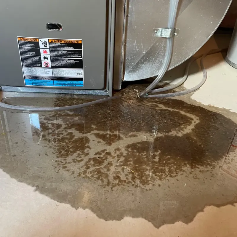 Appliance Leak Cleanup in Lake County, OR